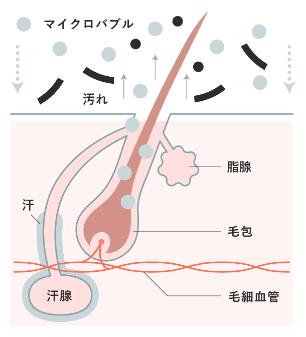 毛根洗浄前