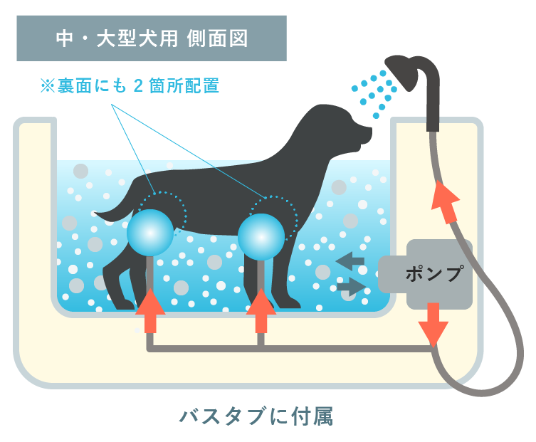 中・大型犬用 側面図