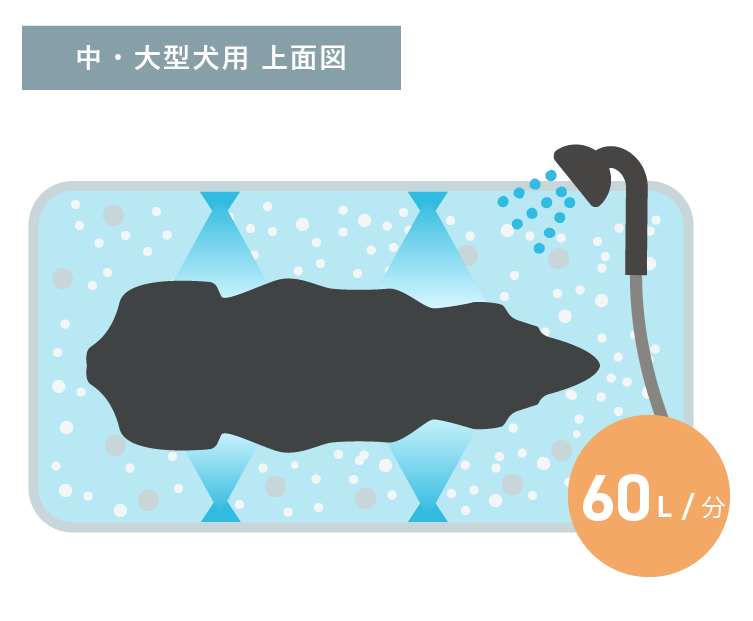 中・大型犬用 上面図